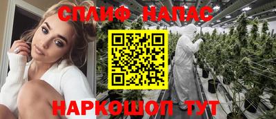 сатива Славгород