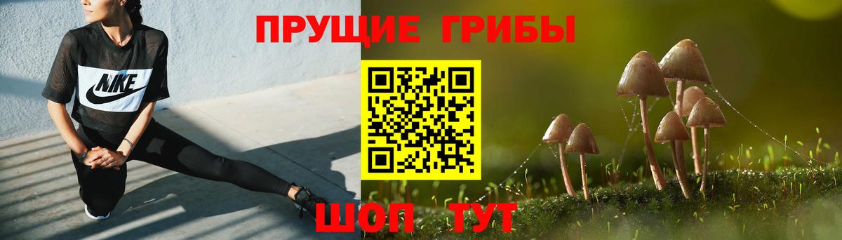 Галлюциногенные грибы Magic Shrooms  Вход с VPN  Новый Уренгой 