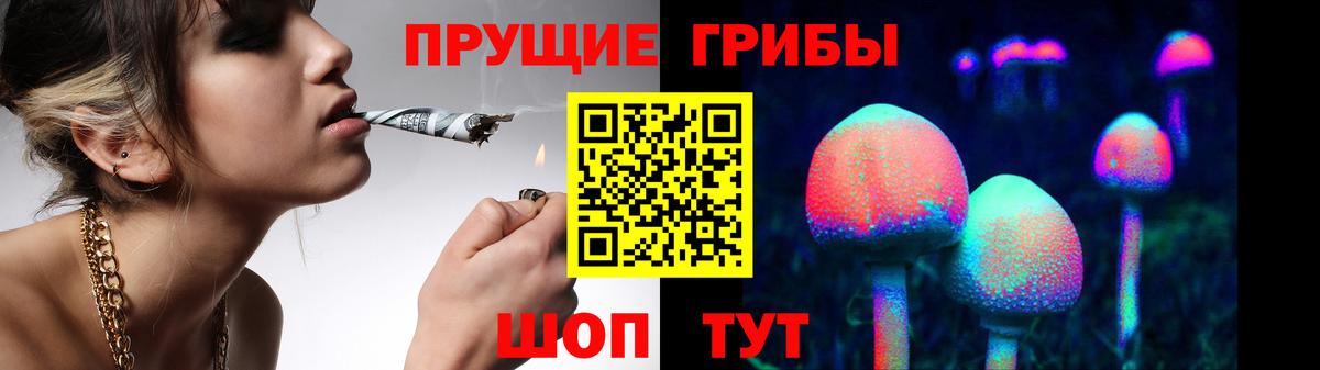 Галлюциногенные грибы Cubensis Новый Уренгой